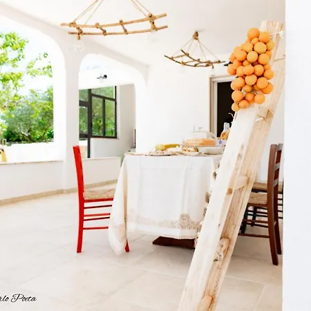 Bed & Breakfast Il Mandorlo Poeta